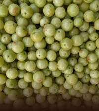 Amla