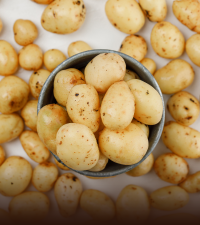 Baby Potatoes