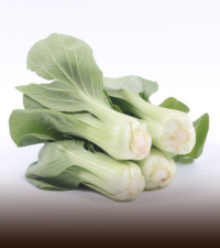 Bok choy