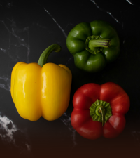 Capsicum