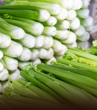 Celery