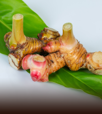 Galangal
