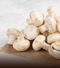 Mushroom