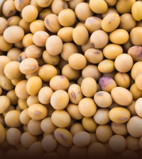 Soybeans