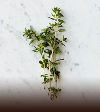 Thyme